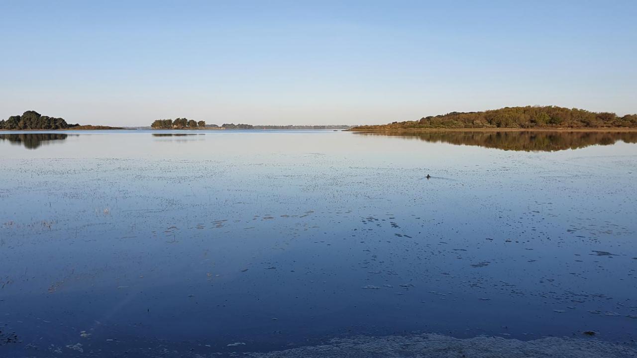Maison Golfe Du Morbihan - Vue Mer - Plage A 600M - 6 Chambres Séné Eksteriør bilde