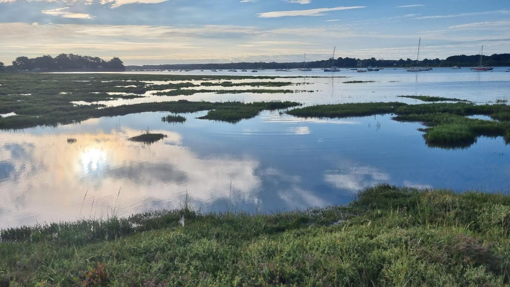 Maison Golfe Du Morbihan - Vue Mer - Plage A 600M - 6 Chambres Séné Eksteriør bilde